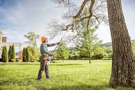 Best Emergency Tree Removal  in Martinsville, VA