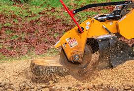 Best Hazardous Tree Removal  in Martinsville, VA