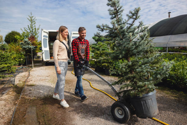 Best Tree Cabling and Bracing  in Martinsville, VA